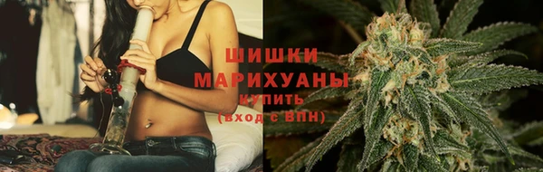 PSILOCYBIN Аркадак
