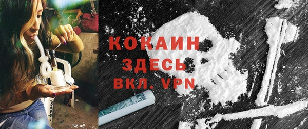 твердый Арсеньев