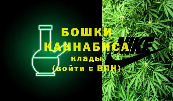 PSILOCYBIN Аркадак