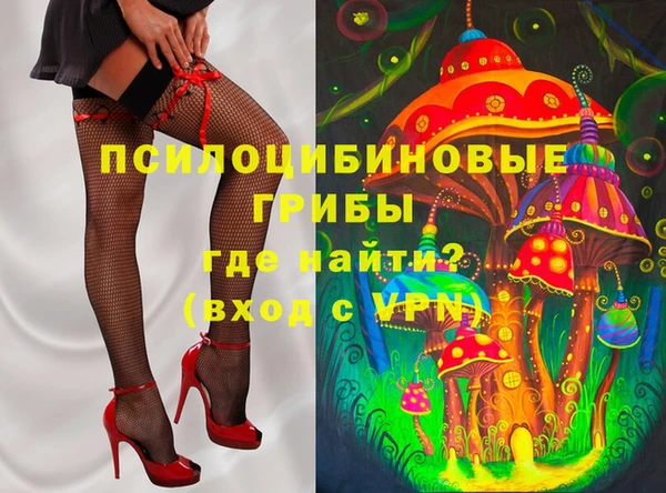 твердый Арсеньев