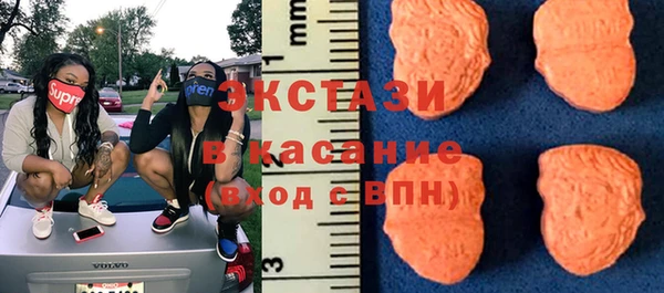 твердый Арсеньев